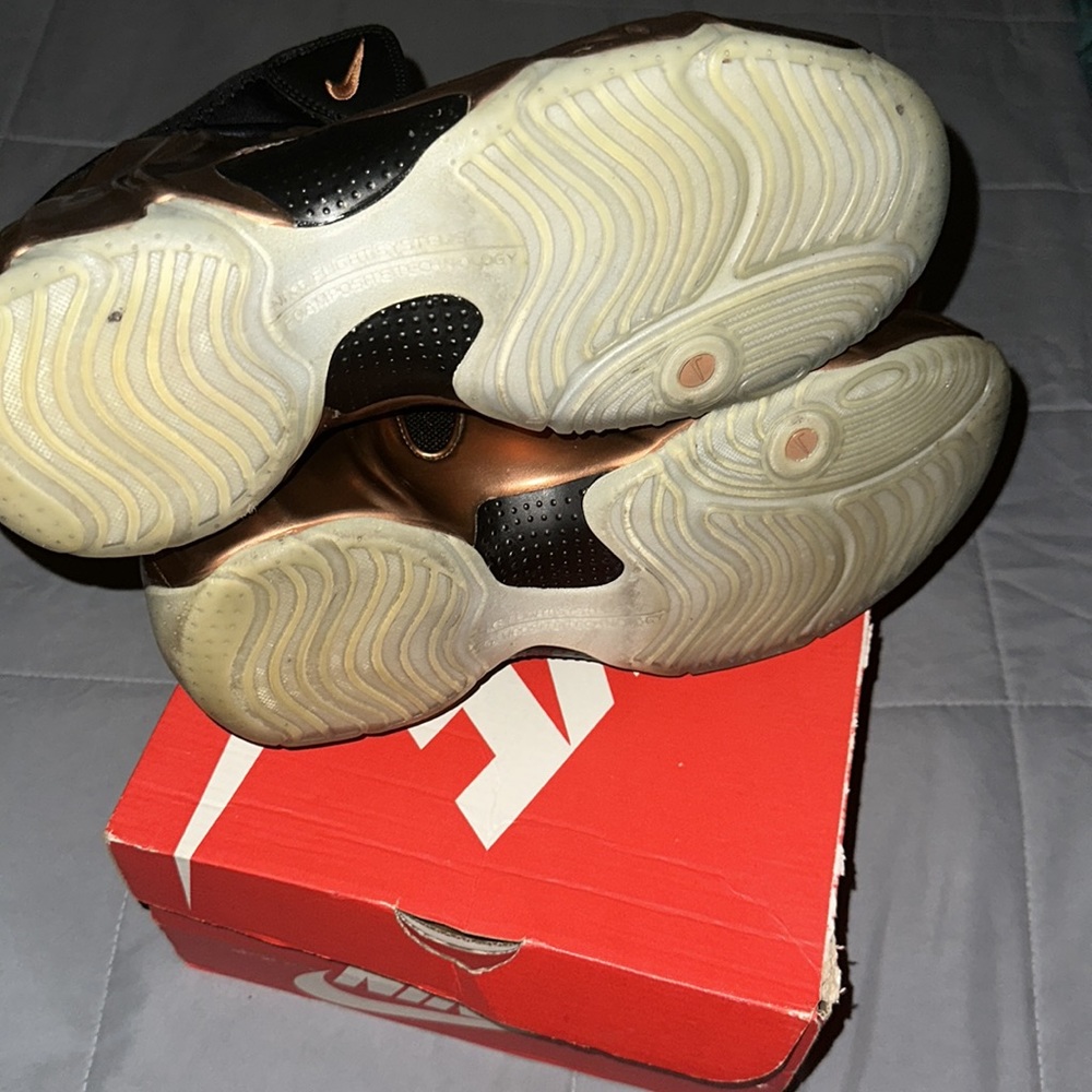 Copper Flightposites - Picture 4 of 5